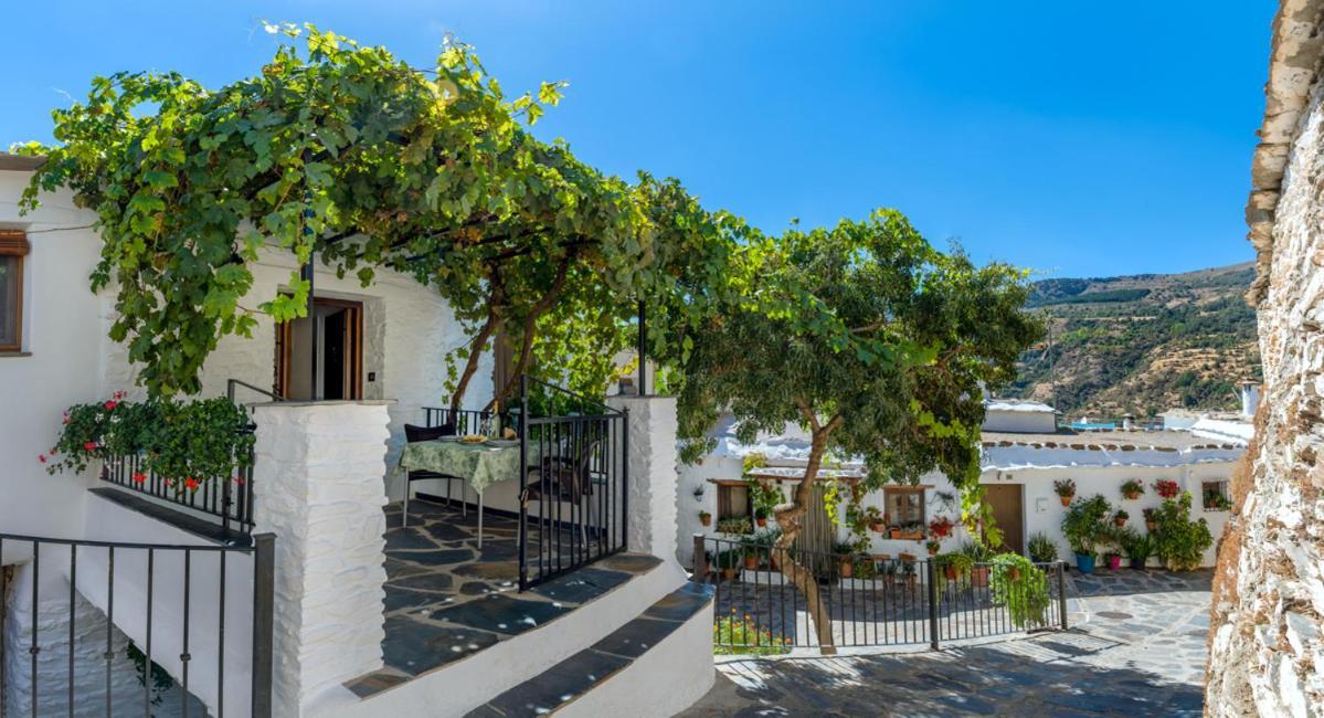 Casa Antonia Capileira La Alpujarra Apartment Bagian luar foto