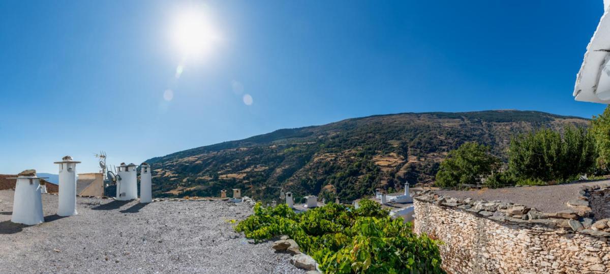 Casa Antonia Capileira La Alpujarra Apartment Bagian luar foto
