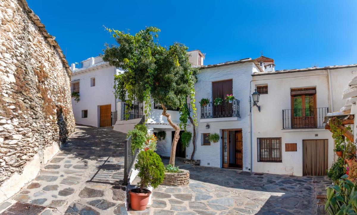 Casa Antonia Capileira La Alpujarra Apartment Bagian luar foto